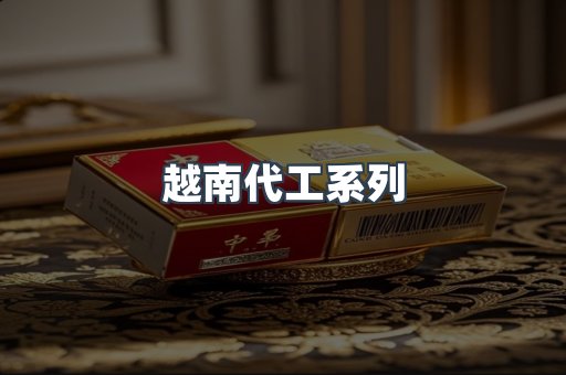 越南代工系列